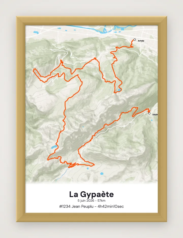 Affiche La Gypaète encadrée