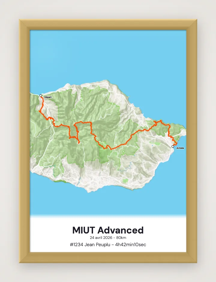 Affiche MIUT Advanced encadrée