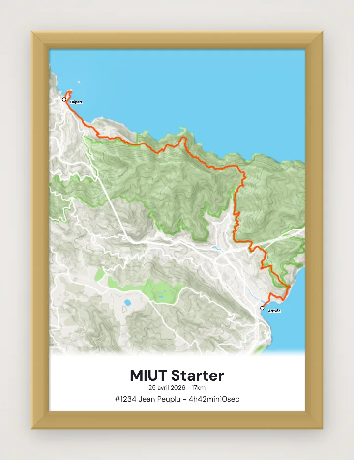 Affiche MIUT Starter encadrée
