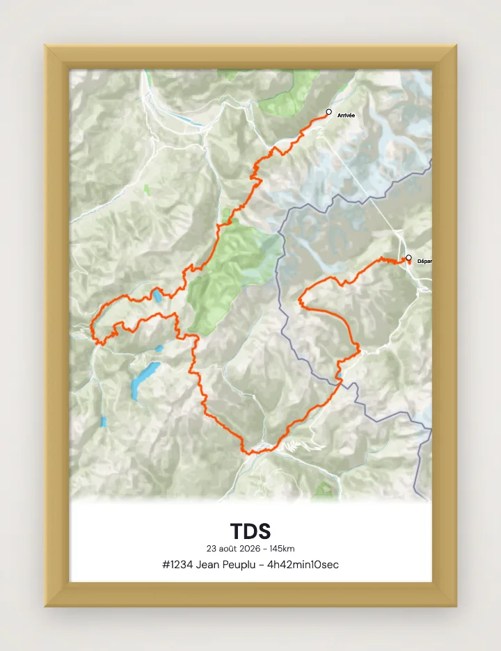 Poster TDS incorniciato