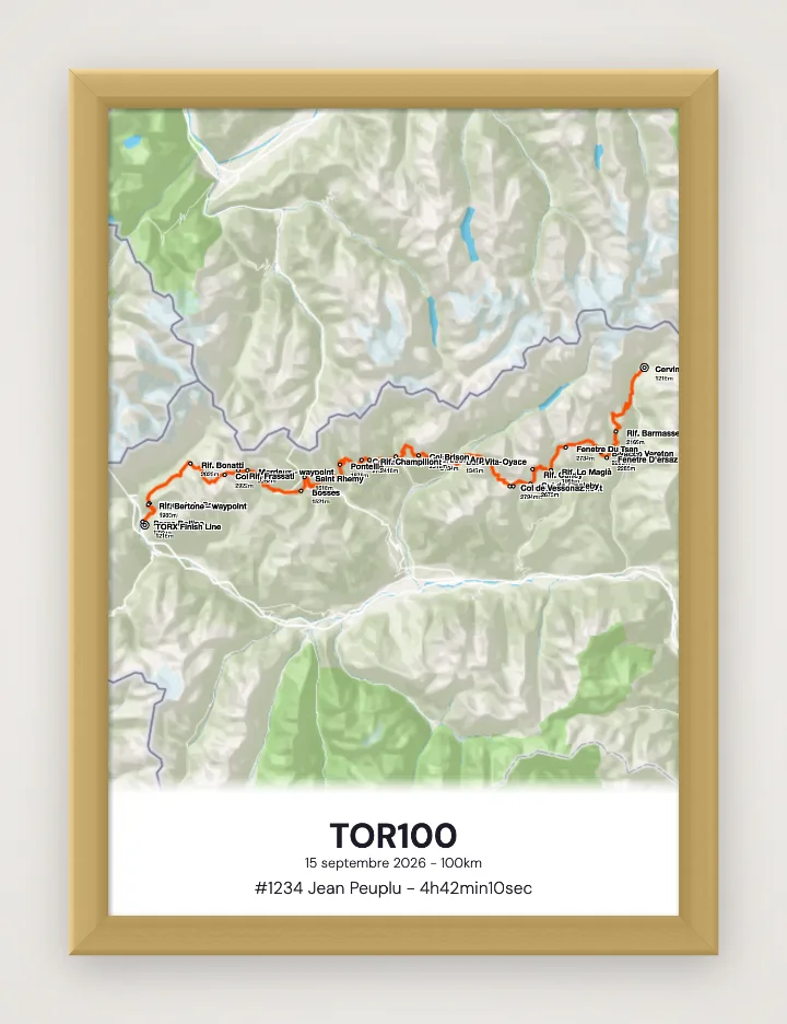 Poster TOR100 incorniciato
